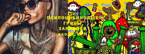 бошки Козловка