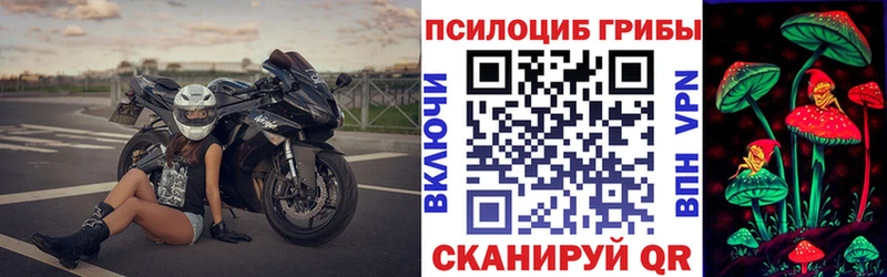 darknet официальный сайт  Бутурлиновка  Псилоцибиновые грибы Cubensis 
