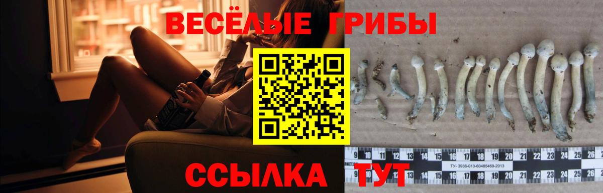 Псилоцибиновые грибы Cubensis  Вход с VPN  закладка  Псилоцибиновые грибы Magic Shrooms  Бутурлиновка 